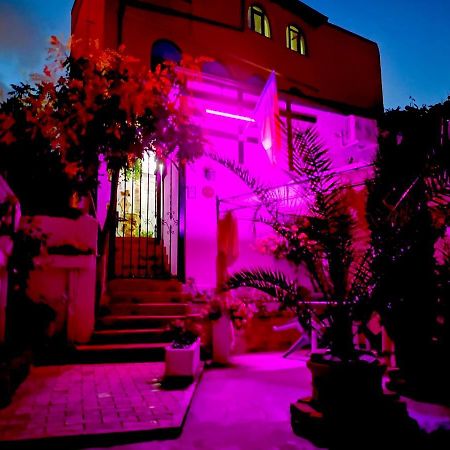 康斯坦察Casa Fotografului别墅 外观 照片