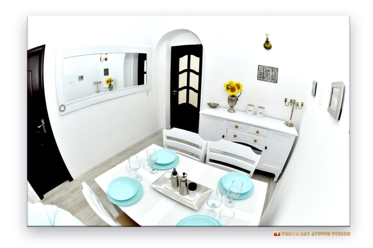 康斯坦察Casa Fotografului别墅 外观 照片